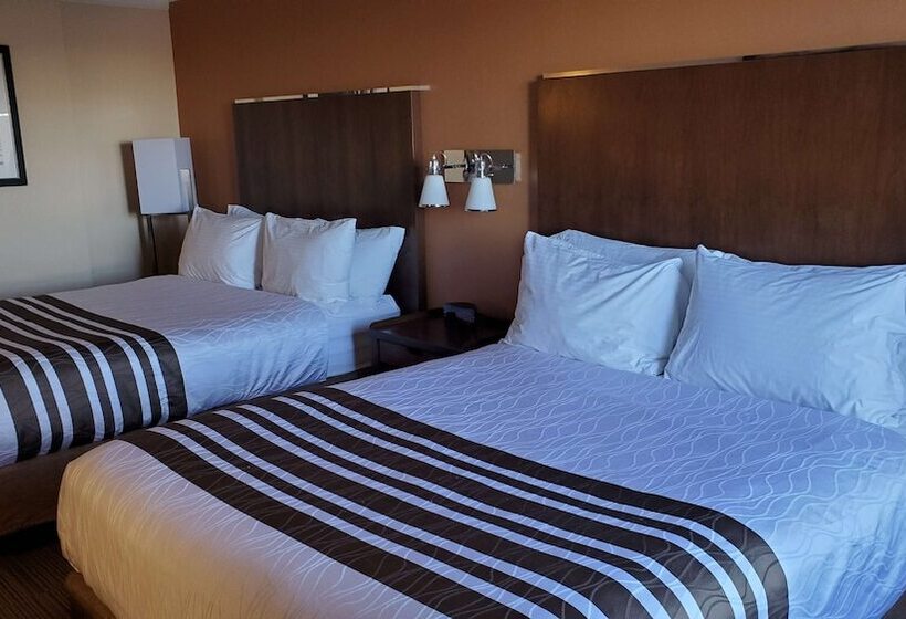 חדר סטנדרט שתי מיטות זוגיות, Waterloo Suites