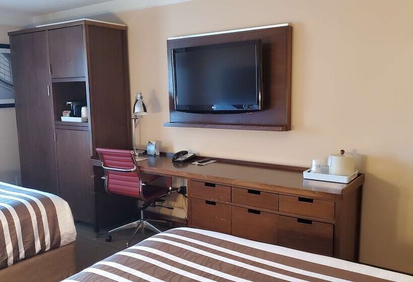 带2个双人床的标准工作室, Waterloo Suites