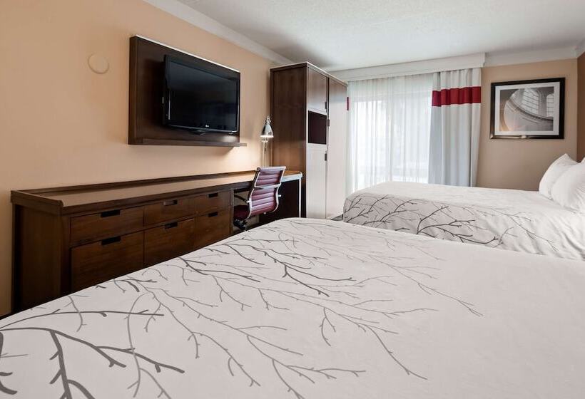 Номер Стандарт 2 Двуспальные Кровати, Waterloo Suites