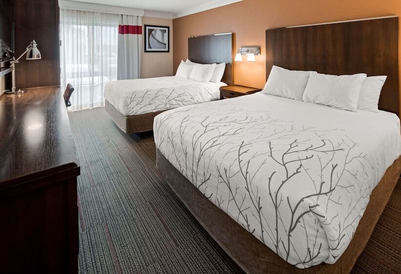 带2个双人床的标准工作室, Waterloo Suites