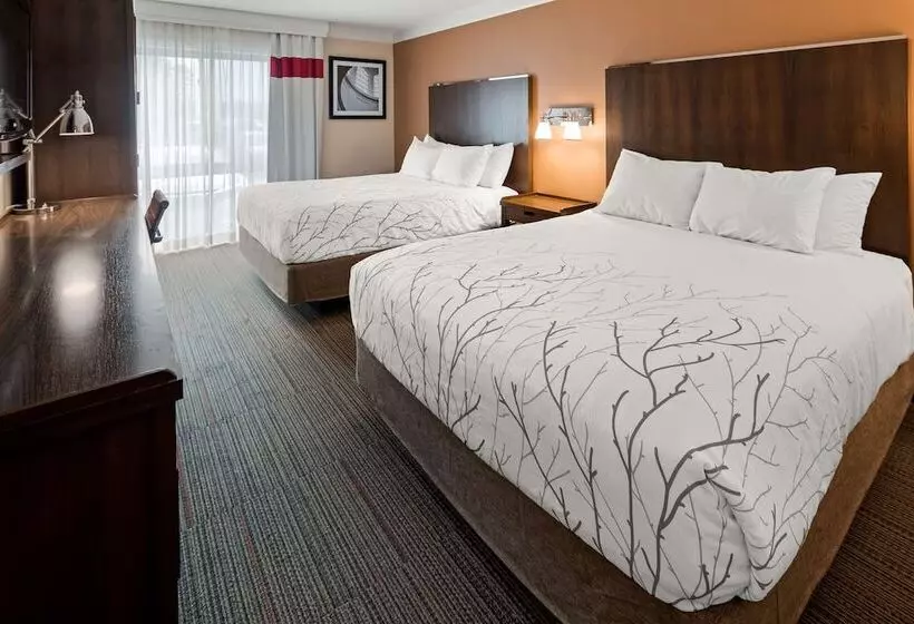 ２ダブルベッドのスタンダードルーム, Waterloo Suites