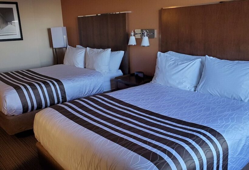 חדר סטנדרט שתי מיטות זוגיות, Waterloo Suites