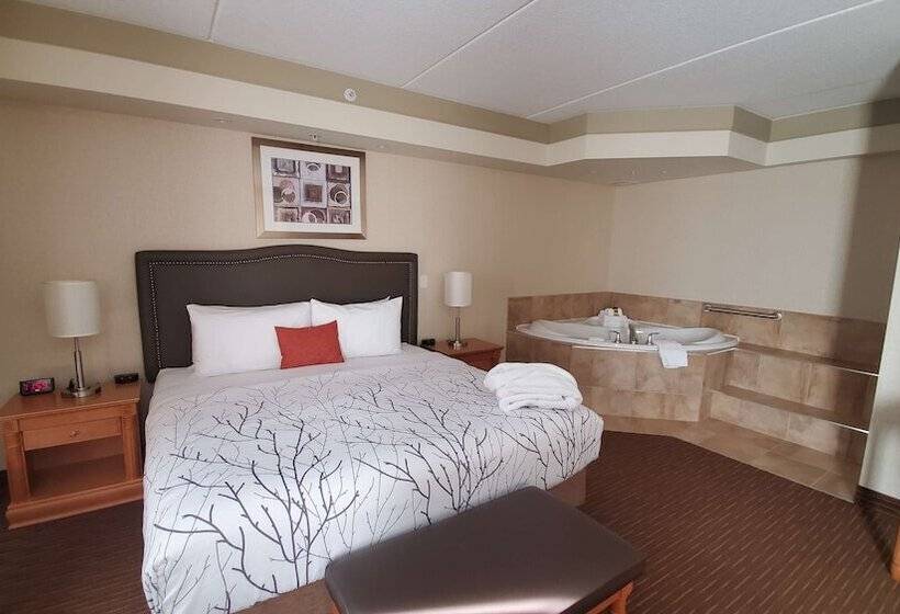 带按摩浴盆的套房, Waterloo Suites