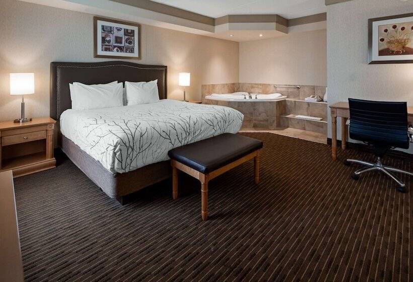 带按摩浴盆的套房, Waterloo Suites