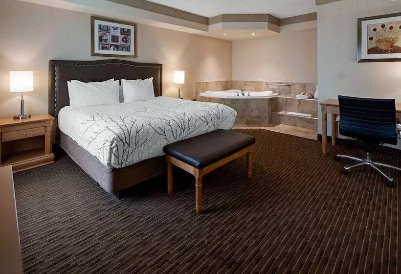 ハイドロマッサージバス付きスイート, Waterloo Suites