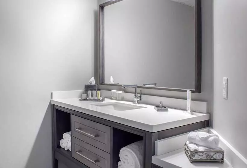 اتاق لوکس با چشم‌انداز, Chateau Moncton Trademark Collection By Wyndham