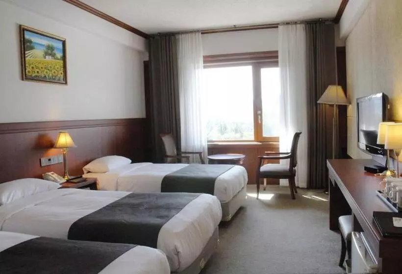 スタンダードトリプルルーム, Commodore Hotel Gyeongju