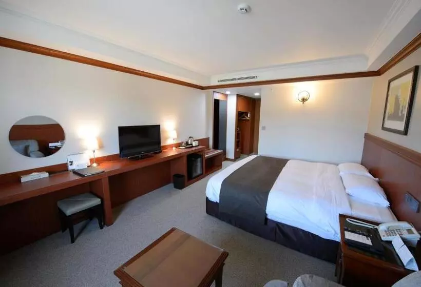 景色の見えるスーペリアルーム, Commodore Hotel Gyeongju