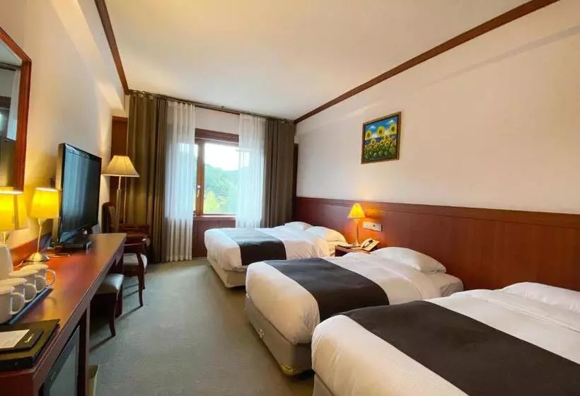 デラックストリプルルーム, Commodore Hotel Gyeongju