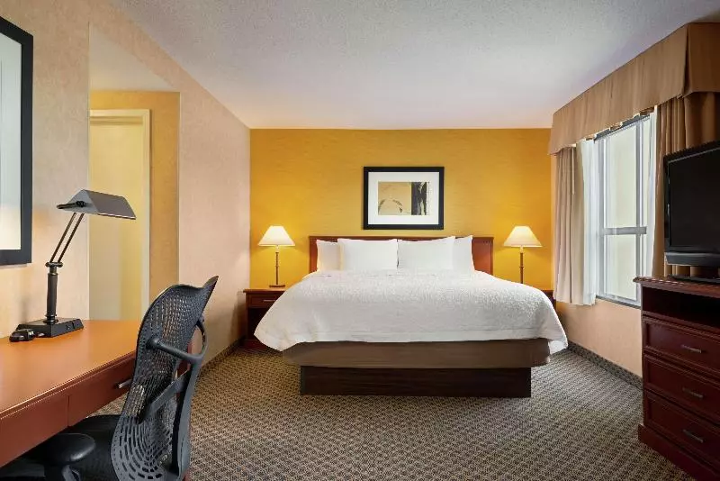 اتاق لوکس با تخت بزرگ, Hampton Inn & Suites By Hilton Langley Surrey
