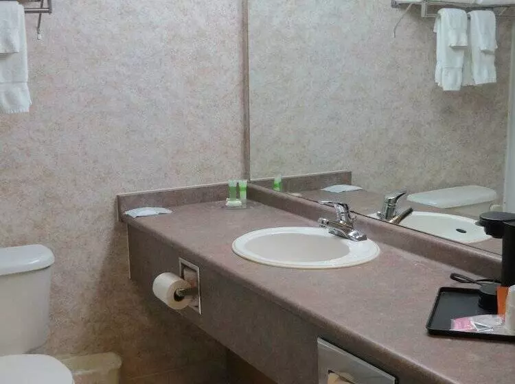 اتاق استاندارد با 2 تخت دوبل, Lexington Inn & Suites Windsor