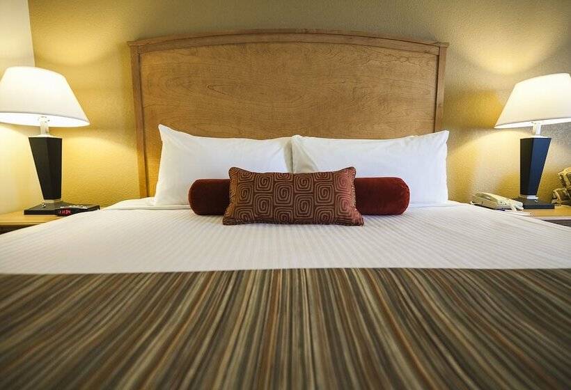 标准间, Mountain Retreat