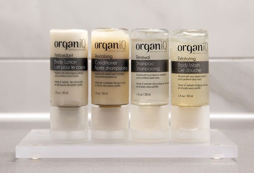 Полулюкс, Ottawa Embassy Hotel & Suites