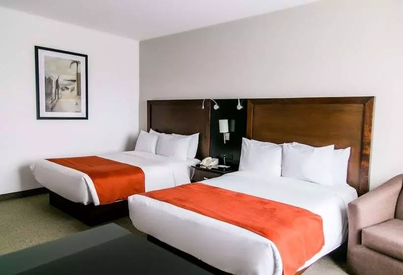 2ダブルベッドのスタンダードルーム, Radisson Poliforum Plaza Hotel Leon