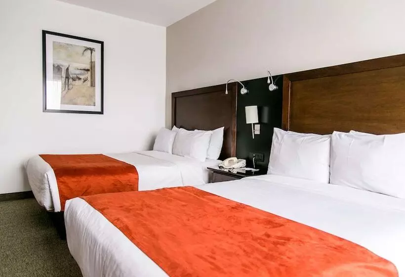 2ダブルベッドのスタンダードルーム, Radisson Poliforum Plaza Hotel Leon
