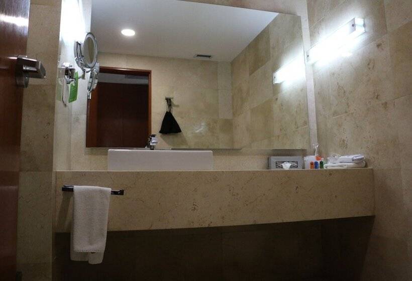 اتاق کلاس بیزنس, Radisson Poliforum Plaza Hotel Leon