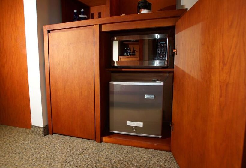 اتاق کلاس بیزنس, Radisson Poliforum Plaza Hotel Leon