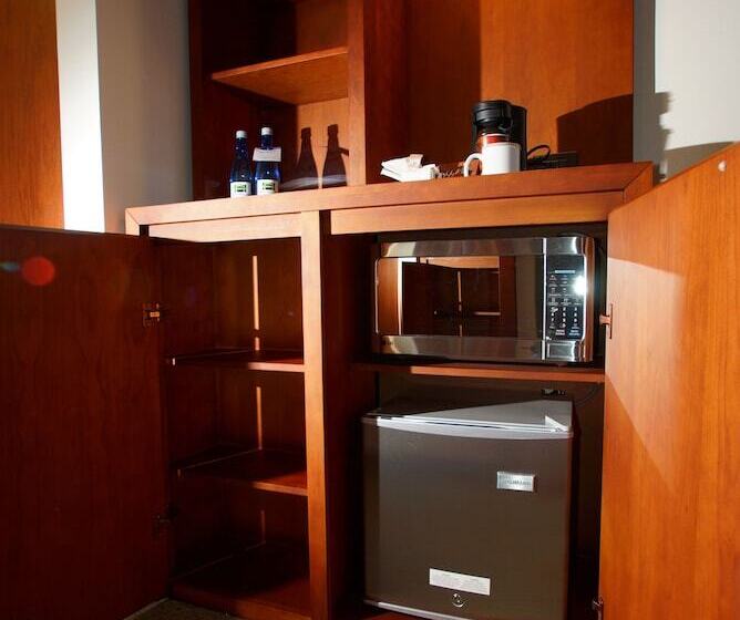 اتاق کلاس بیزنس, Radisson Poliforum Plaza Hotel Leon