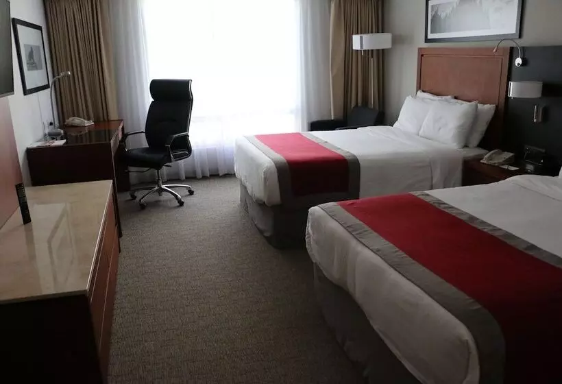 ビジネスルーム, Radisson Poliforum Plaza Hotel Leon