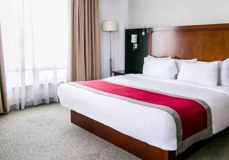 プレミアムルーム, Radisson Poliforum Plaza Hotel Leon