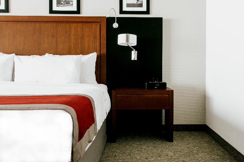 استودیو استاندارد با تخت کینگ, Radisson Poliforum Plaza Hotel Leon