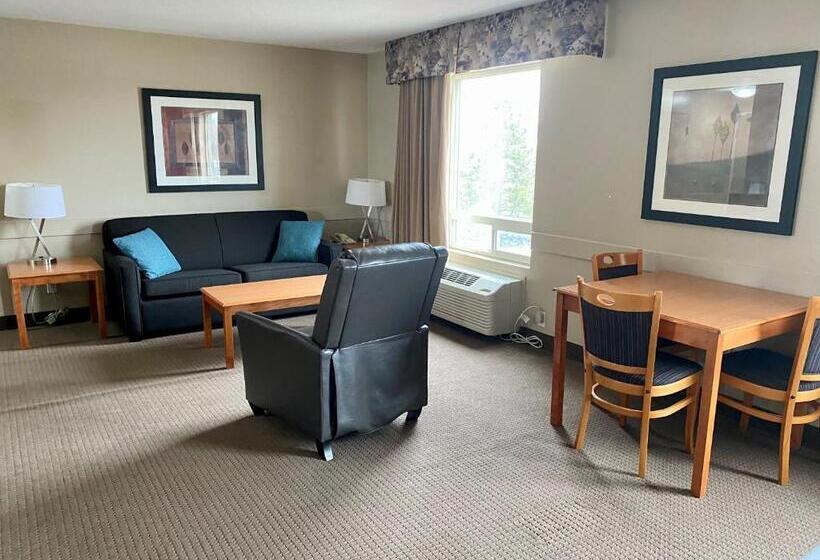 キングサイズベッドのエクゼクティブ, Super 8 By Wyndham Edmonton South