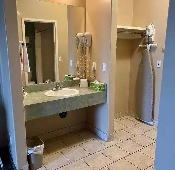 اتاق استاندارد با تخت بزرگ, Super 8 By Wyndham Edmonton South