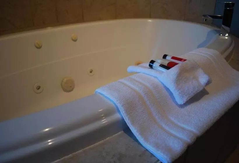 سوئیت با تخت بزرگ, Super 8 By Wyndham Edmonton South
