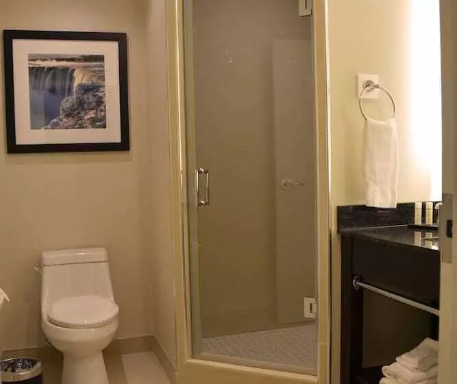 اتاق استاندارد با تخت بزرگ, Tower Hotel At Fallsview