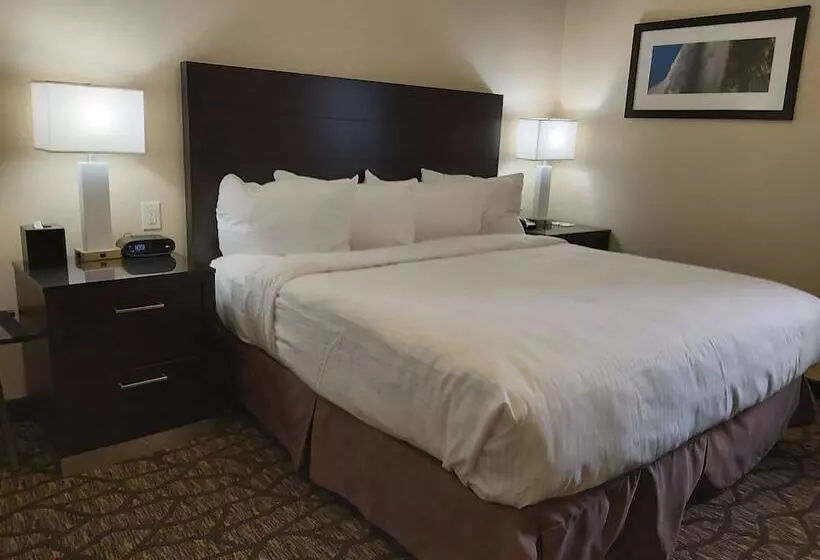 اتاق استاندارد با تخت بزرگ, Tower Hotel At Fallsview