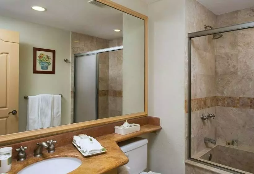 オーシャンビューデラックスルーム, Villa La Estancia Beach Resort & Spa