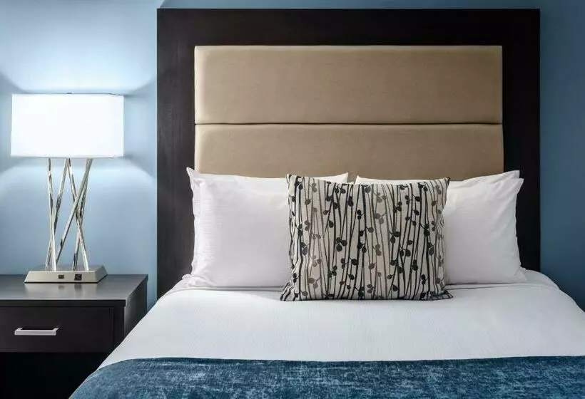 キングサイズベッドのエクゼクティブ, Ottawa Embassy Hotel & Suites
