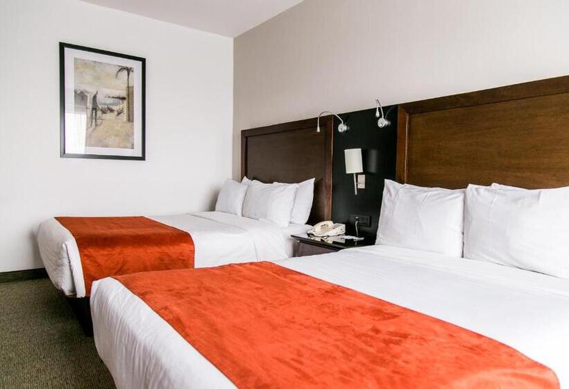 اتاق استاندارد با 2 تخت دوبل, Radisson Poliforum Plaza Hotel Leon