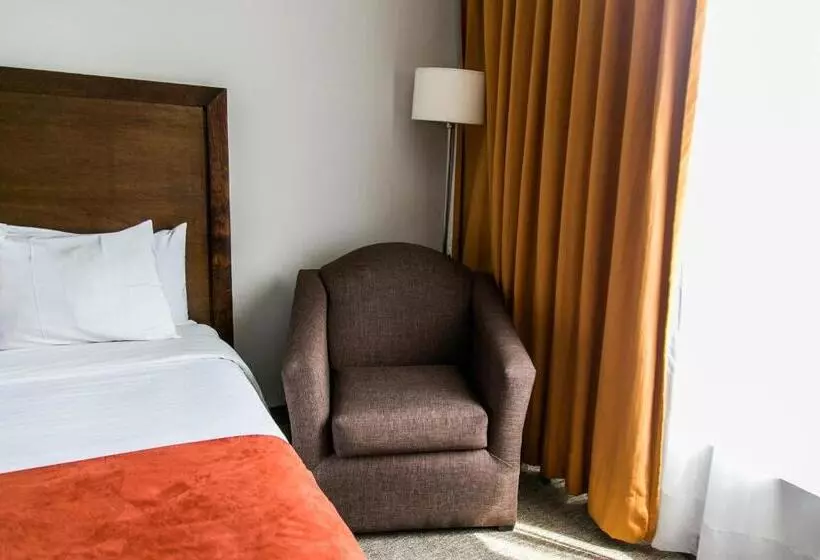 2ダブルベッドのスタンダードルーム, Radisson Poliforum Plaza Hotel Leon