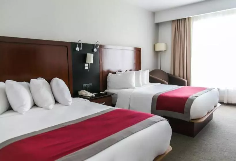 プレミアムルーム, Radisson Poliforum Plaza Hotel Leon