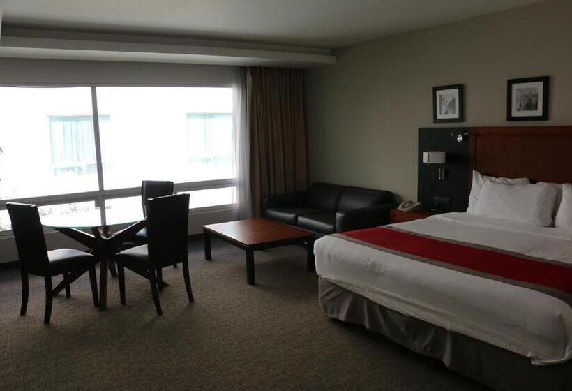 استودیو استاندارد با تخت کینگ, Radisson Poliforum Plaza Hotel Leon