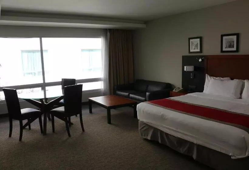 キングサイドベッドのスタンダードワンルーム, Radisson Poliforum Plaza Hotel Leon