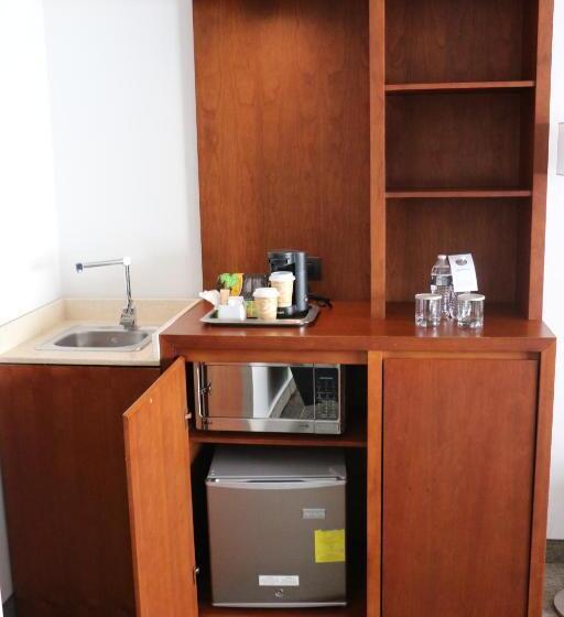 استودیو استاندارد با تخت کینگ, Radisson Poliforum Plaza Hotel Leon