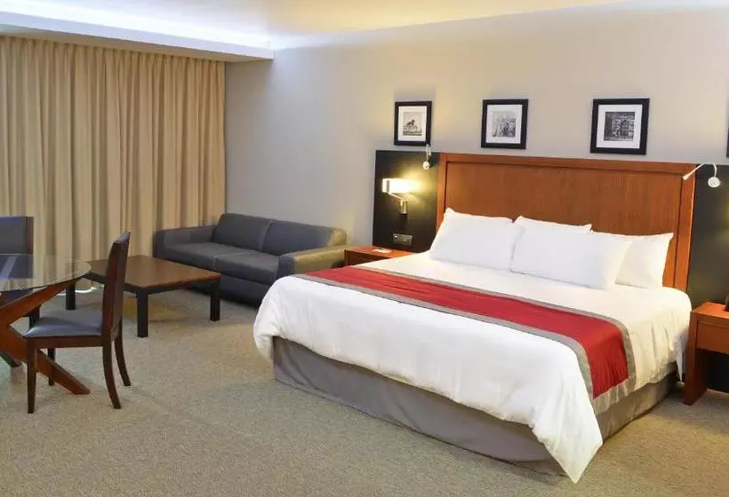 キングサイドベッドのスタンダードワンルーム, Radisson Poliforum Plaza Hotel Leon