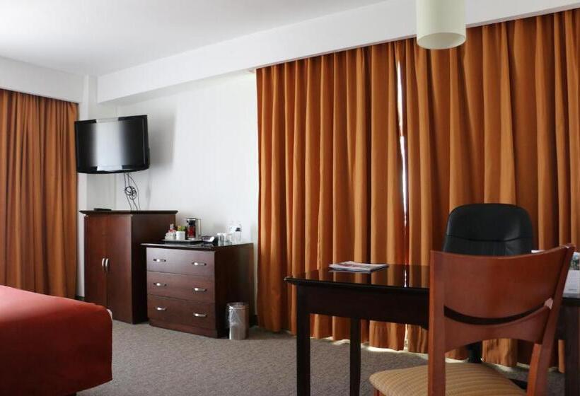 اتاق استاندارد با تخت بزرگ, Radisson Poliforum Plaza Hotel Leon