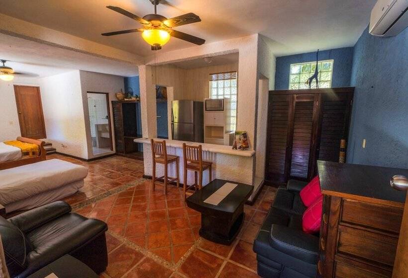 이코노미 룸, Casa De Los Sueños Hotel Boutique