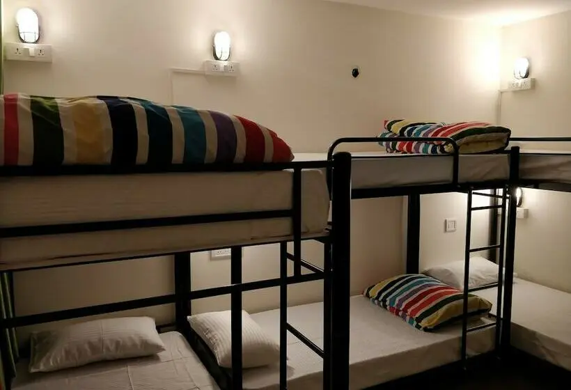 تختخواب در اتاق سوپریور مشترک, Madpackers Manali