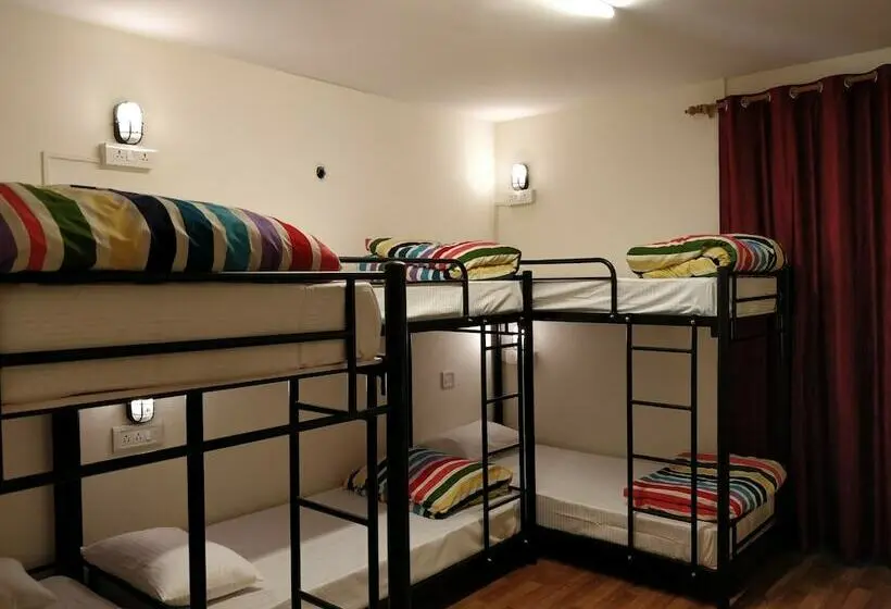 تختخواب در اتاق مشترک, Madpackers Manali