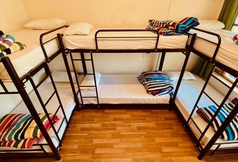 ルームシェアのワンベッド, Madpackers Manali