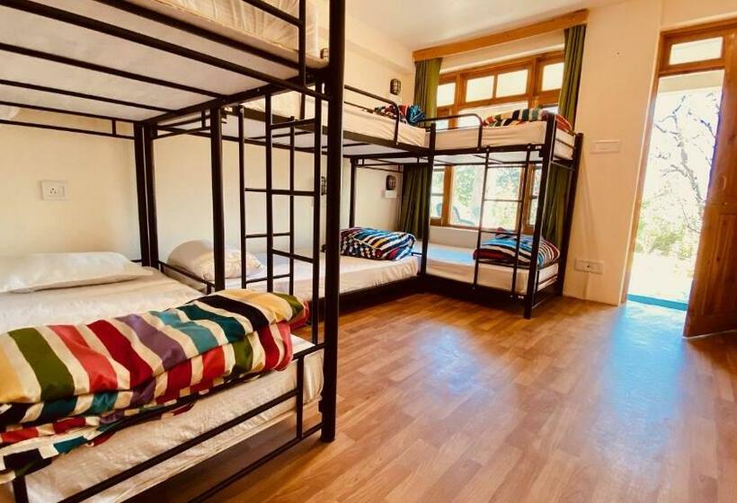 ルームシェアのワンベッド, Madpackers Manali