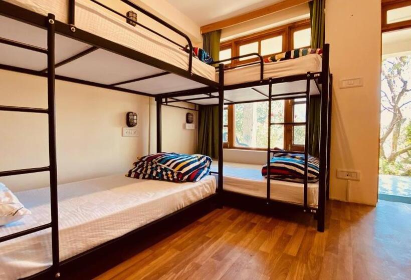 ルームシェアのワンベッド, Madpackers Manali