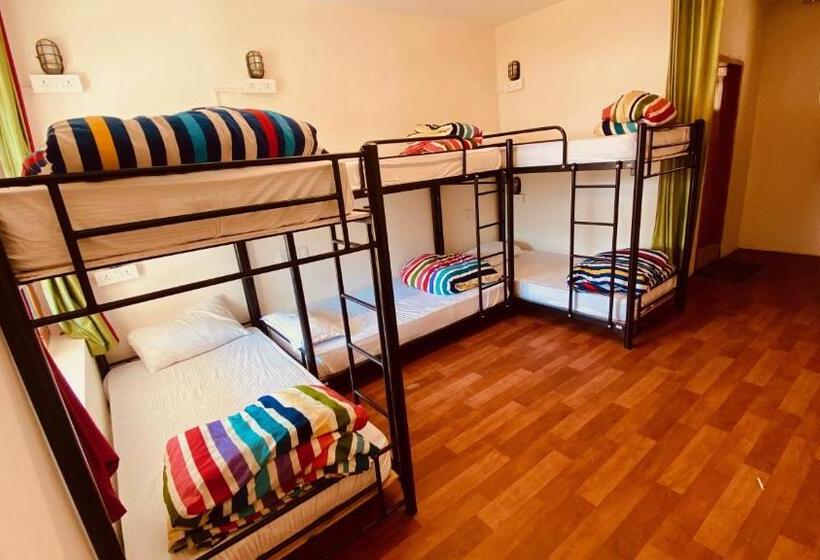 スーペリアーシェアルームのワンベッド, Madpackers Manali