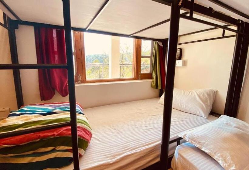 スーペリアーシェアルームのワンベッド, Madpackers Manali