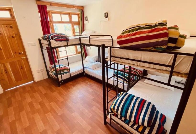 スーペリアーシェアルームのワンベッド, Madpackers Manali