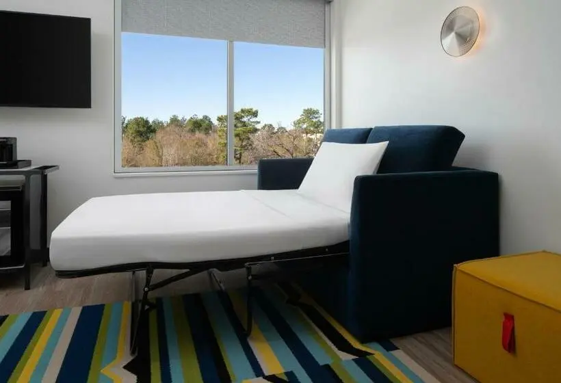 キングサイズベッドのスタンダードルーム, Aloft Houston Shenandoah   The Woodlands